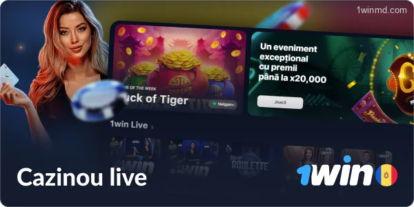 Cazinouri cu dealer live la 1win Moldova